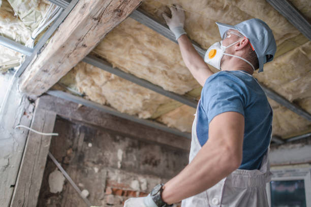 Best Local Insulation Services  in Munhall, PA