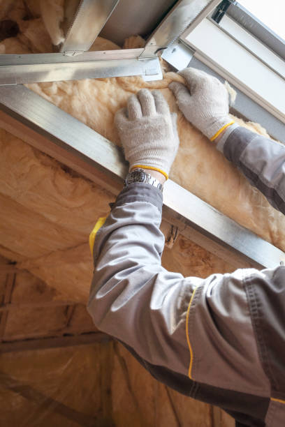 Best Best Insulation Companies  in Munhall, PA