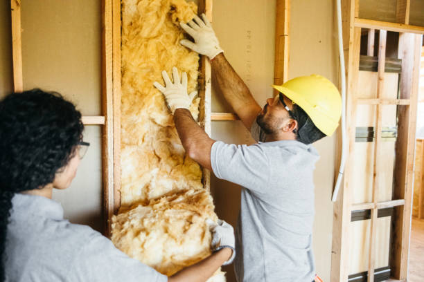 Best Spray Foam Insulation  in Munhall, PA
