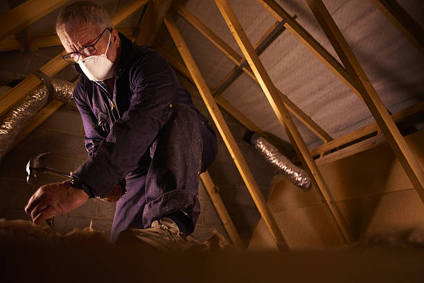 Trusted Munhall, PA Insulation Contractor Experts