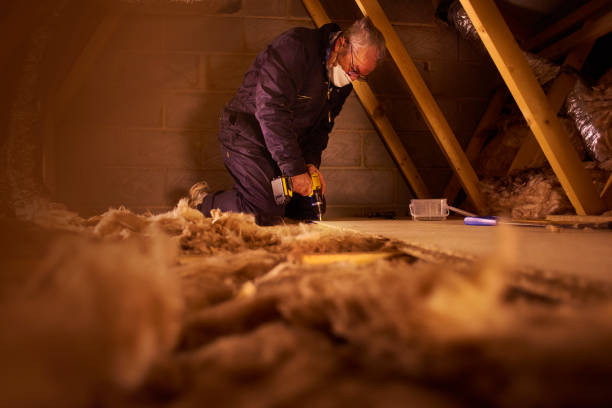 Best Cellulose Insulation  in Munhall, PA